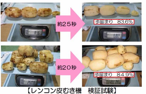 レンコン皮むき機検証試験